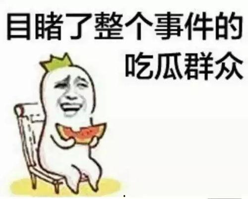 搞笑沙雕吃瓜娱乐圈小说